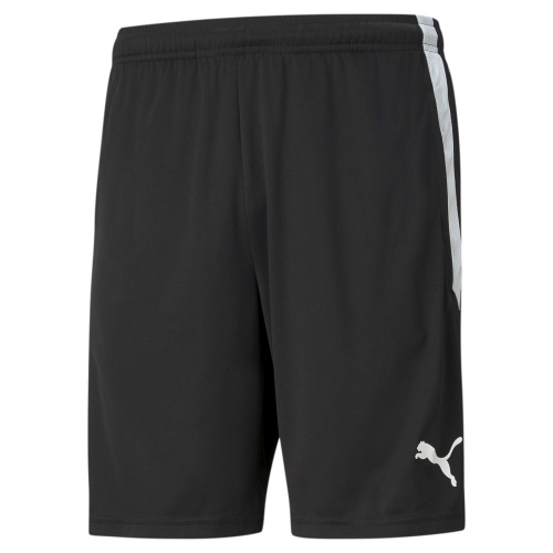 Team Liga Training Shorts