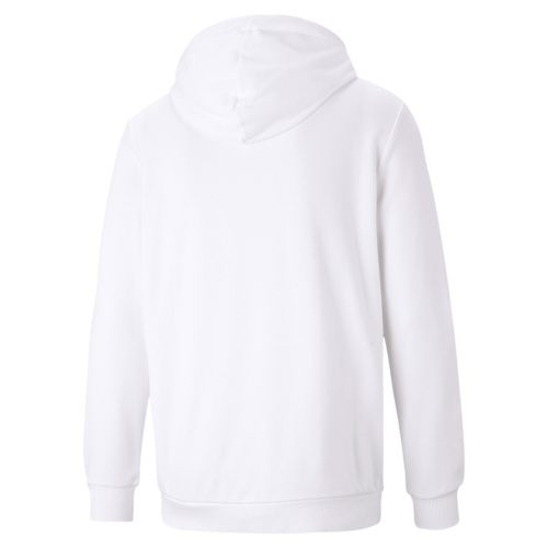 ESS Big Logo Hoodie TR