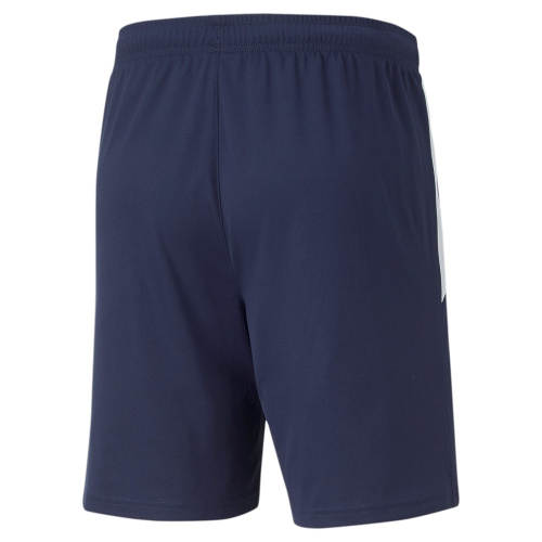 TeamLiga Training Shorts