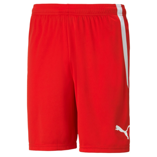 TeamLiga Shorts