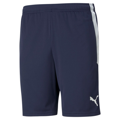 TeamLiga Training Shorts