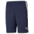 TeamLiga Training Shorts TeamLiga Training Shorts